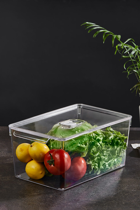 Fresh Kapaklı Kristal Buzdolabı Düzenleyici 200 X 325 X 140 mm