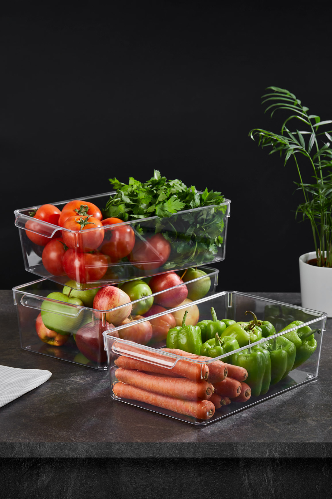 Fresh Kristal Buzdolabı Düzenleyici 200 X 325 X 100 mm