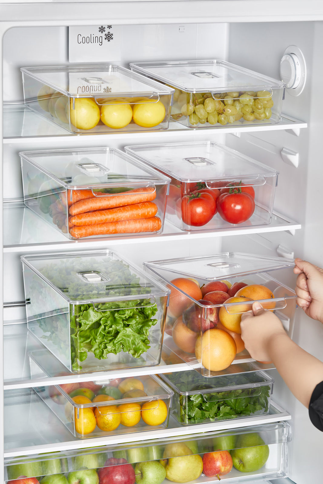 Fresh Kapaklı Kristal Buzdolabı Düzenleyici 200 X 325 X 70 mm