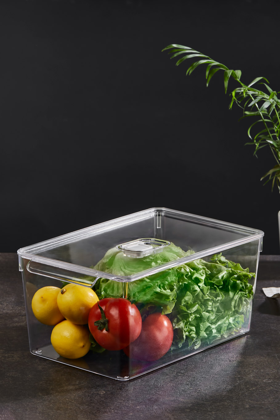 Fresh Kapaklı Kristal Buzdolabı Düzenleyici 200 X 325 X 140 mm